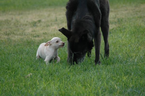 /Images/uploads/Humane Society of Utah/HSUCalendar/entries/1430thumb.jpg